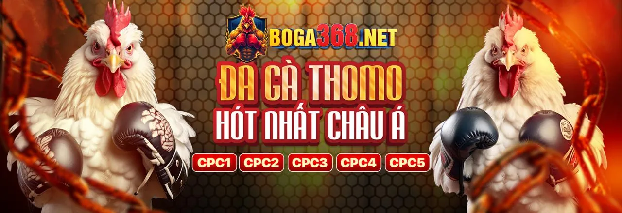 Banner khuyến mãi đá gà NN88